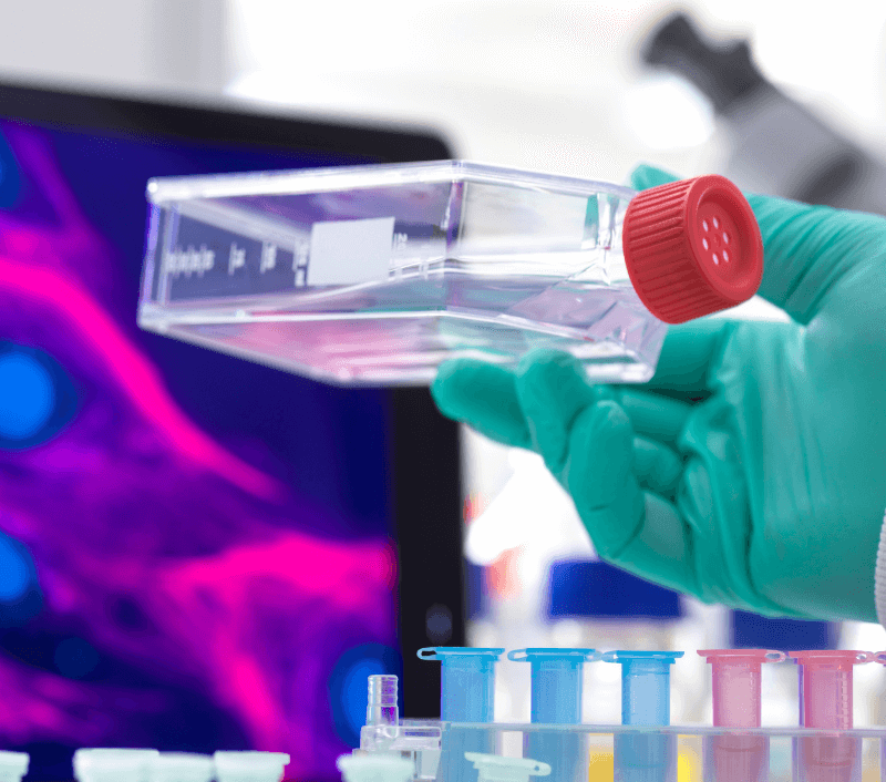 Global Regenerative Medicine Expertise in Miami