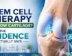 Can Stem Cell Therapy Regrow Cartilage? What the Evidence Actually Says